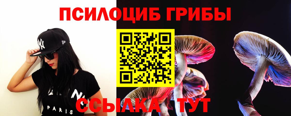 Псилоцибиновые грибы Psilocybe  Можайск  Галлюциногенные грибы прущие грибы 